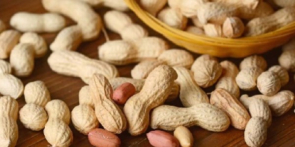 تصویر 3 از خرید و قیمت بادام زمینی صادراتی + فروش صادراتی